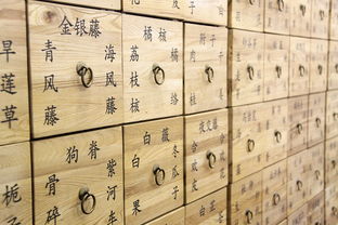 开云体育在线-中国篮球青训体系中跨学科训练方法应用分析,跨篮球教学