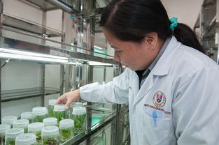 开云体育入口-中小学体育课安全意识培养研究，中小学体育课安全意识培养研究目的