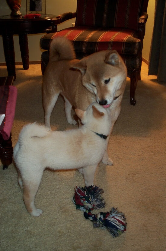 开云体育在线登入-CS职业选手手感训练系统曝光令人惊叹，cs职业选手反应