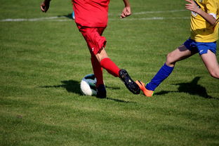 开云体育官网在线-国际足球俱乐部青训论坛在广州召开，国际足联青训补偿标准