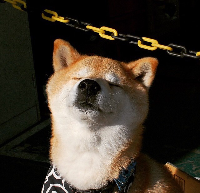 开云体育-球星公益行动展现场外温度