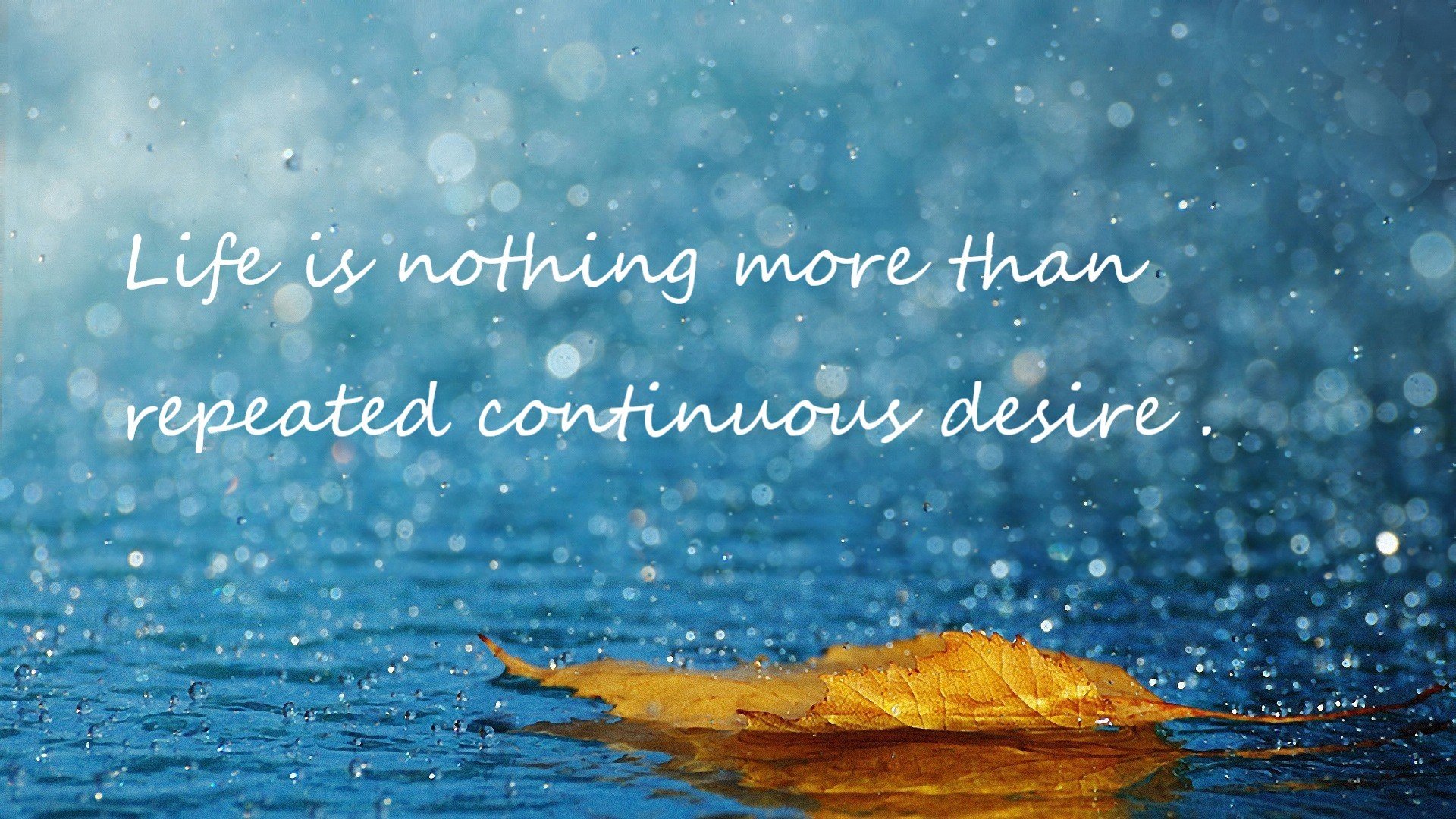 开云体育在线入口-瑞典队未来发展:创新战术与精细化训练并举,瑞典队伍