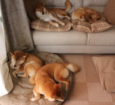 开云体育平台-蒙彼利埃防线厚度增强提升稳定性,蒙彼利埃怎么样