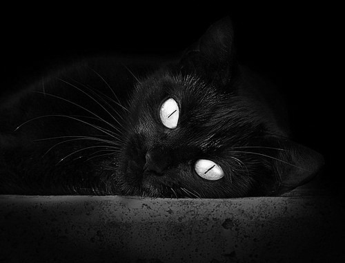 开yun官网-2026世界杯赛场内外全面升级,智能化设施成亮点,2026年世界杯参赛队伍